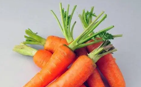 ���ܲ����ܺ�ʲôʳ��һ��� ���ܺ�����һ���