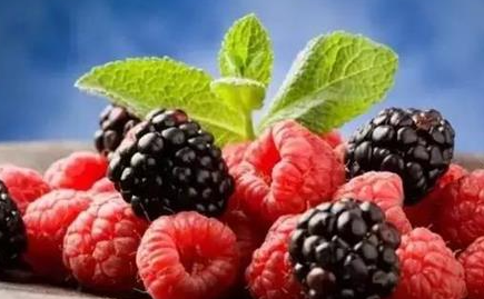 ��ݮ�Ĺ�Ч�����ý��� ��ݮ��ʳ�÷���