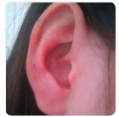 �Ҷ��䷢�ȴ���ɶ��˼ ��ͬʱ���Ҷ����ȵ�Ԥ�ײ�ͬ