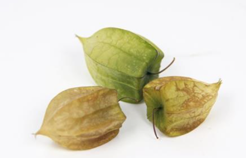 �����Ӫ����ֵ �����Թ����ܹ���ǿ����ĵֿ���