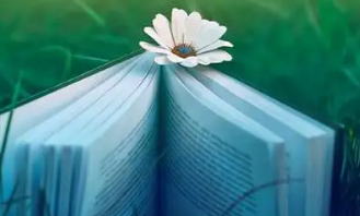 ���ºö���ժ����ȫ������ �þ�ժ������������