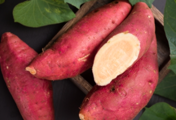 养胃食品有哪些食物 十大最养胃的食物