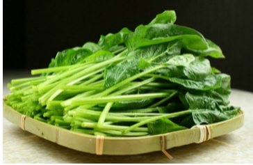 养胃食品有哪些食物 十大最养胃的食物