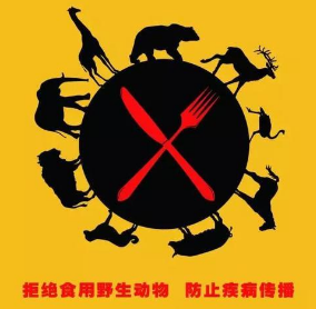 关于保护野生动物的资料有哪些 野生动物分类