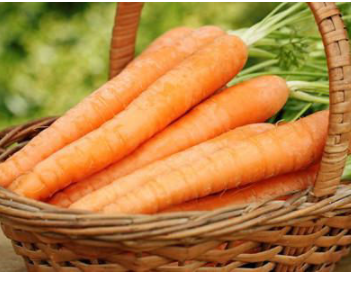 养胃食品有哪些食物 十大最养胃的食物