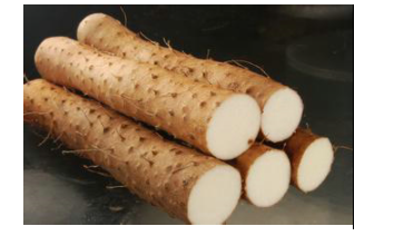 养胃食品有哪些食物 十大最养胃的食物