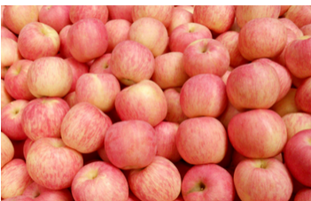 养胃食品有哪些食物 十大最养胃的食物