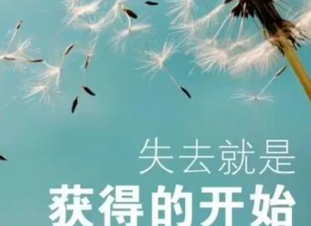 һ����Ҫ��ȥ��,�ջ���ʲô ��ȥһ����ջ�͸���