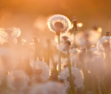 һ����Ҫ��ȥ��,�ջ���ʲô ��ȥһ����ջ�͸���