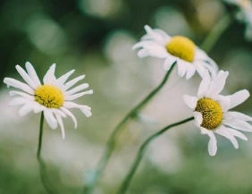 ���ڽ����ĸ������ ��������Ҫ�ĸ���