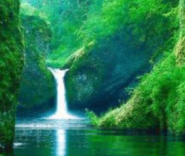 ��ϧ��ǰ���ڵ���ʲô��˼ ��Զ����֪������������ĸ�����