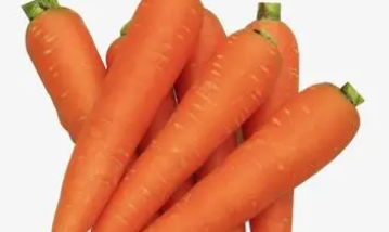 ����Ӫ����ʳ�� 3�ִ���������ô�Զ�����