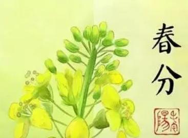 关于春分的小诗 春分的古诗词赏析
