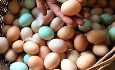 鸡蛋美容护肤的方法 让你的肌肤白里透红