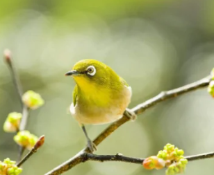 ���ݴ���ĳ��� ����һ�����������ĸо�