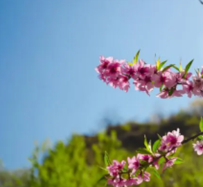 ���ݴ���ĳ��� ����һ�����������ĸо�