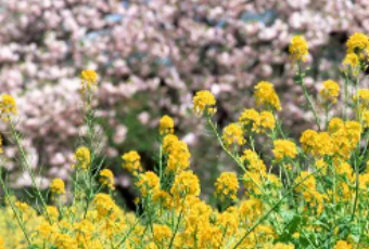 ���ݴ���ĳ��� ����һ�����������ĸо�