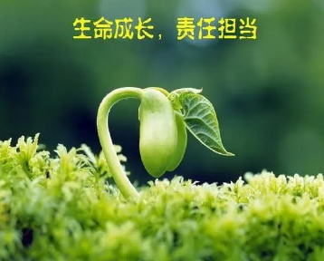 �е������εĸ������ �������ε�������������