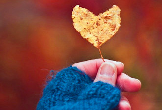 ��ϵ�ľ��Ӿ�����¼ ��ϵ�ľ����в�һ���ĸ���