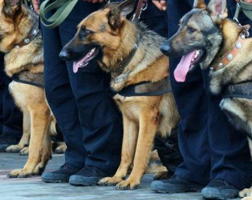 ������Ȯ��Ȯ��Ҫʲô���� ��Ҫ�����ϸ���������