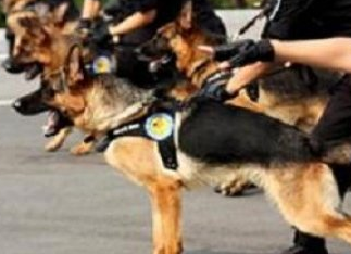 ������Ȯ��Ȯ��Ҫʲô���� ��Ҫ�����ϸ���������