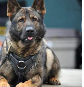 ������Ȯ��Ȯ��Ҫʲô���� ��Ҫ�����ϸ���������