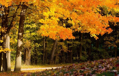 邀请朋友聚餐的好句子 吃饭短信可以增进彼此的友谊