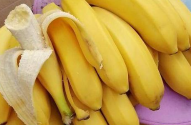 ���㽶�������첻�� �㽶���췽��