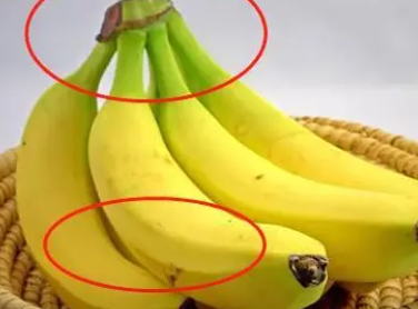 ���㽶�������첻�� �㽶���췽��