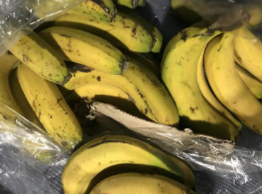 ���㽶�������첻�� �㽶���췽��