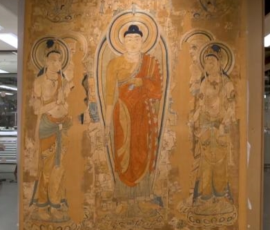 ͺ��Ϊʲôͺͷ ר��ʳ���ö���