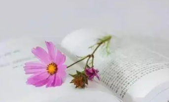 ֪������˼��ʲô ���Ʒ�֪��������˼