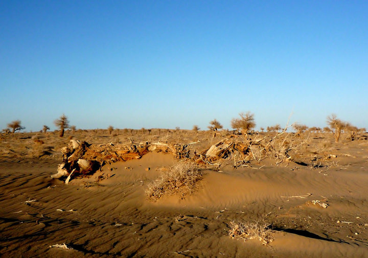 ɳ������Σ�� ��Ҫ�������ļ�������