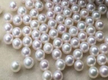日本珍珠的品牌有很多 日本珍珠品牌排行榜前六名