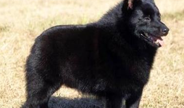 ������Ȯ��ʲôȮ�� ������Ȯ����Ǯ