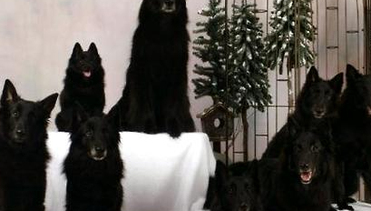 ������Ȯ��ʲôȮ�� ������Ȯ����Ǯ