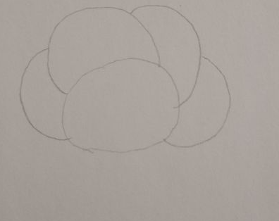 ֲ���ڻ�������Ư���Ļ����꼶 Сѧ�����꼶ֲ��ͼ��