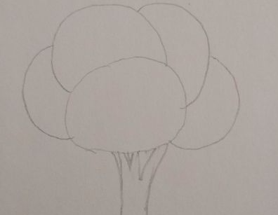 ֲ���ڻ�������Ư���Ļ����꼶 Сѧ�����꼶ֲ��ͼ��