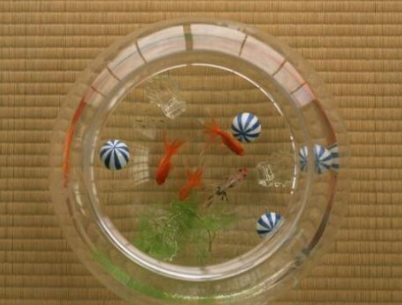 ����ڷŽ������Ҫע��ʲô ��ͥ����׵İڷŷ�ˮλ��