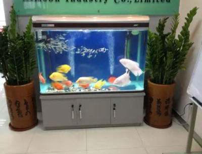 ����ڷŽ������Ҫע��ʲô ��ͥ����׵İڷŷ�ˮλ��