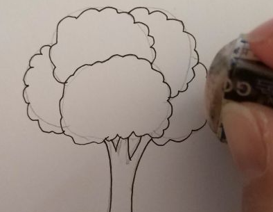 ֲ���ڻ�������Ư���Ļ����꼶 Сѧ�����꼶ֲ��ͼ��