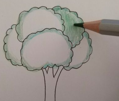 ֲ���ڻ�������Ư���Ļ����꼶 Сѧ�����꼶ֲ��ͼ��