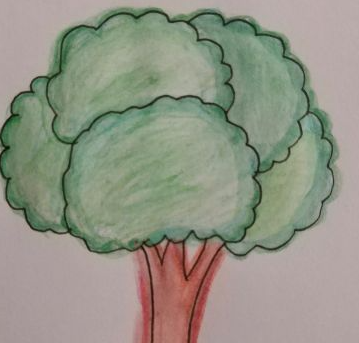 ֲ���ڻ�������Ư���Ļ����꼶 Сѧ�����꼶ֲ��ͼ��