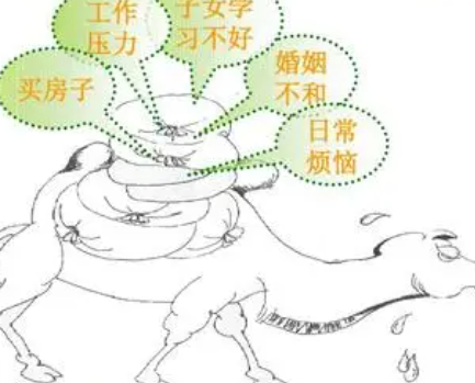 ��ν�����Ч���������� ���н̻Ả����������