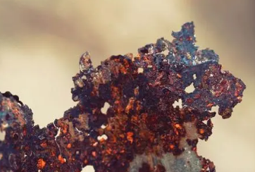 ��γ������ ʲô�����������