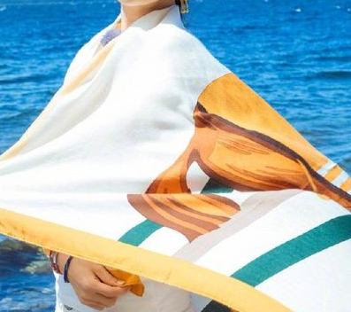 ��˿���ļ���ϵ��ͼ�� ����˿���ĸ���Χ��