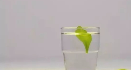 ����������֪ʶ �����Ǻܶ�Ů�Զ��ܹ�ע������