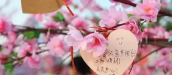 ����ףԸ�ļ�̾���ʮ������ �����ľ����Ƿǳ�����������