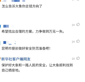 云南象群迁徙事件及原因 云南象群北迁事件始末