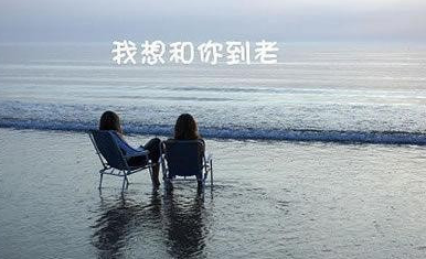 不弃不离是什么意思 中文出处是哪里